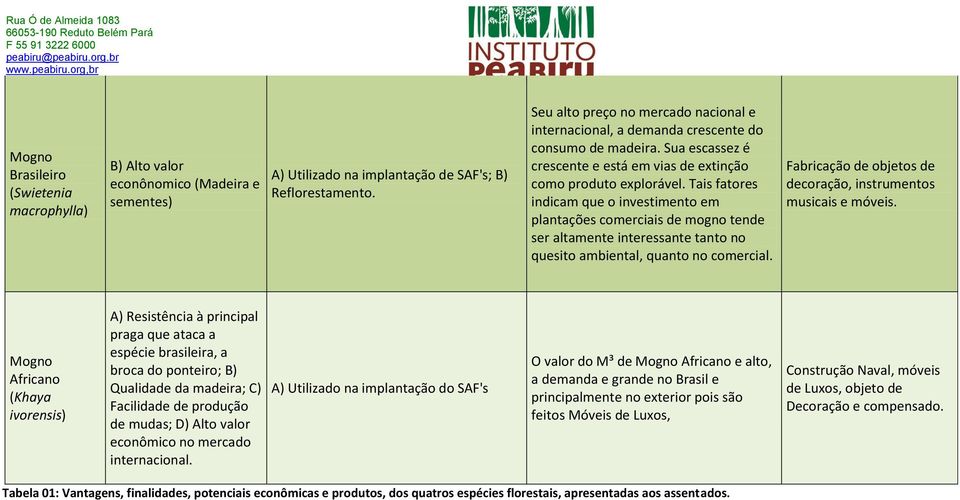 Tais fatores indicam que o investimento em plantações comerciais de mogno tende ser altamente interessante tanto no quesito ambiental, quanto no comercial.