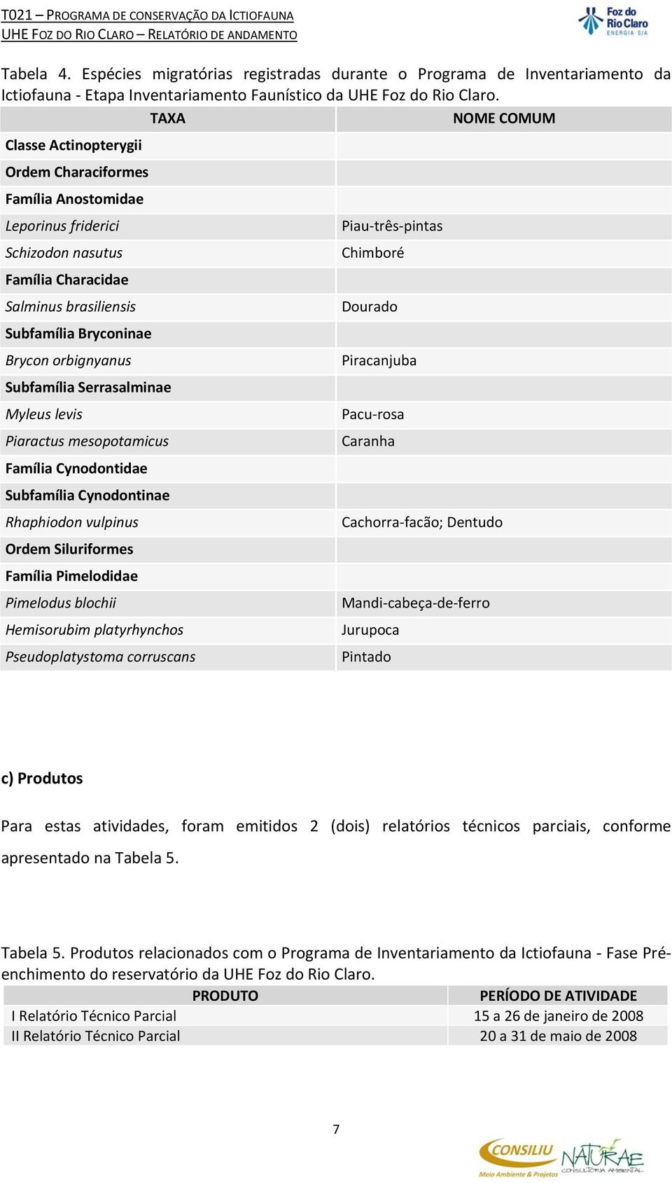 Subfamília Serrasalminae Myleus levis Piaractus mesopotamicus Família Cynodontidae Subfamília Cynodontinae Rhaphiodon vulpinus Ordem Siluriformes Família Pimelodidae Pimelodus blochii Hemisorubim