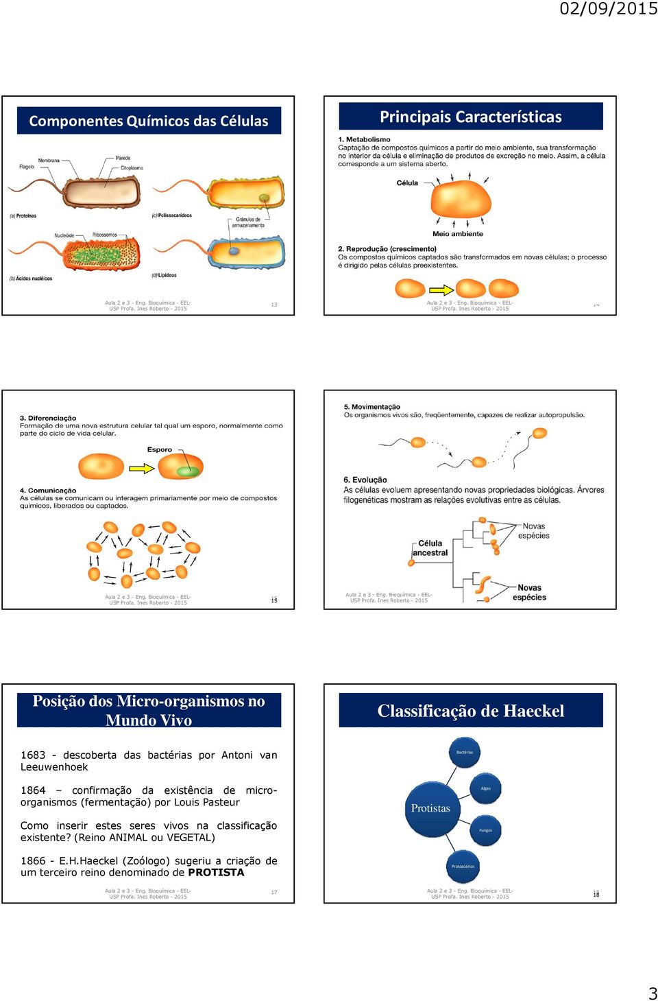 microorganismos (fermentação) por Louis Pasteur Como inserir estes seres vivos na classificação existente?