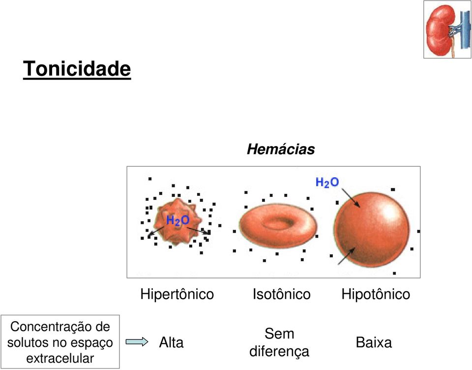 Hipotônico Concentração de