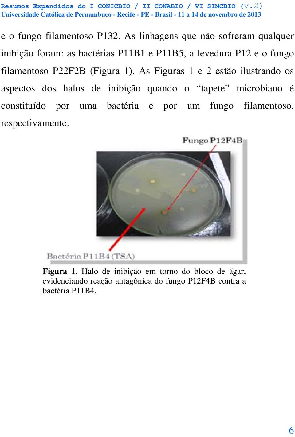 filamentoso P22F2B (Figura 1).