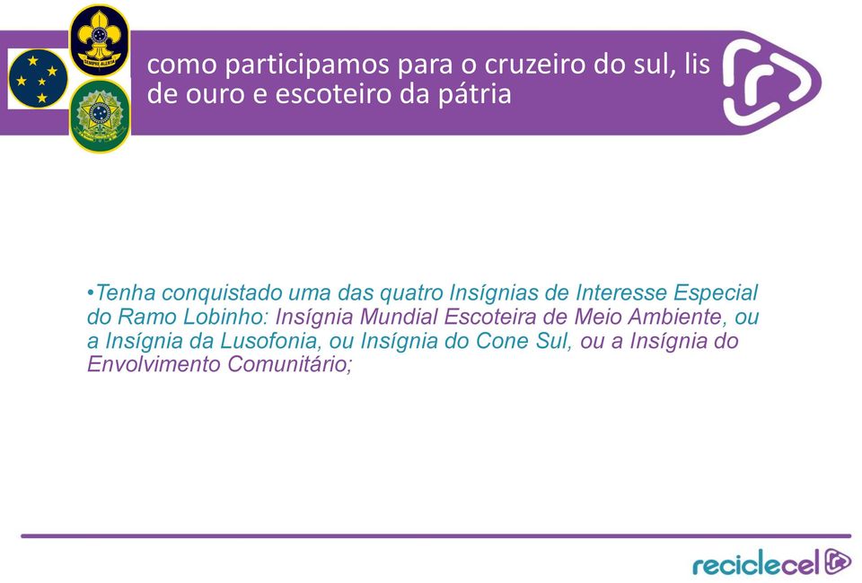 Ramo Lobinho: Insígnia Mundial Escoteira de Meio Ambiente, ou a Insígnia