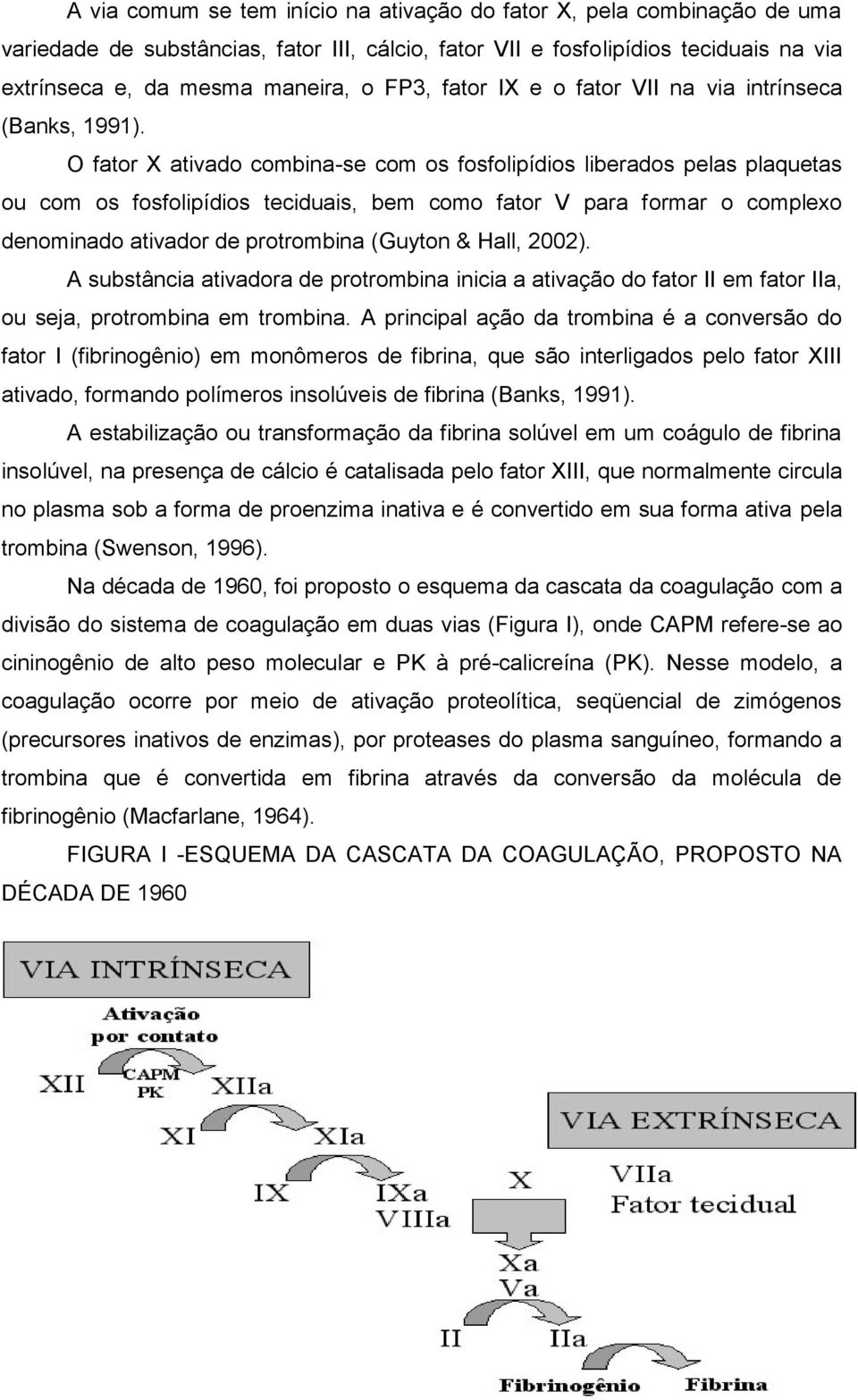 O fator X ativado combina-se com os fosfolipídios liberados pelas plaquetas ou com os fosfolipídios teciduais, bem como fator V para formar o complexo denominado ativador de protrombina (Guyton &