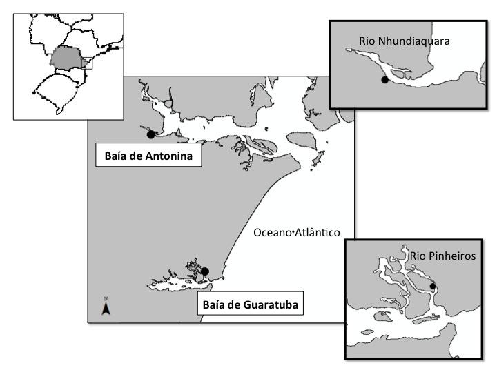 55 A Baía de Guaratuba é o segundo maior sistema estuarino do litoral do estado do Paraná.