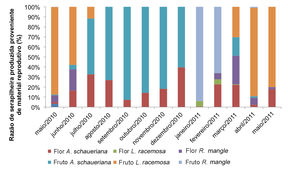 59 A queda de flores de A. schaueriana ocorreu praticamente o ano todo, com seu máximo nos meses de novembro em Antonina e março em Guaratuba (figura 4). Para L.
