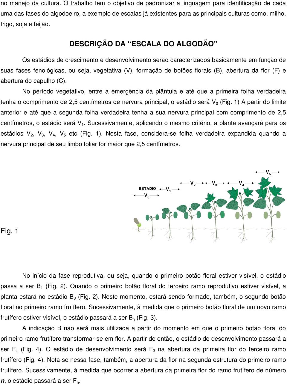 DESCRIÇÃO DA ESCALA DO ALGODÃO Os estádos de crescmento e desenvolvmento serão caracterzados bascamente em função de suas fases fenolócas, ou seja, veetatva (V), formação de botões floras (B),