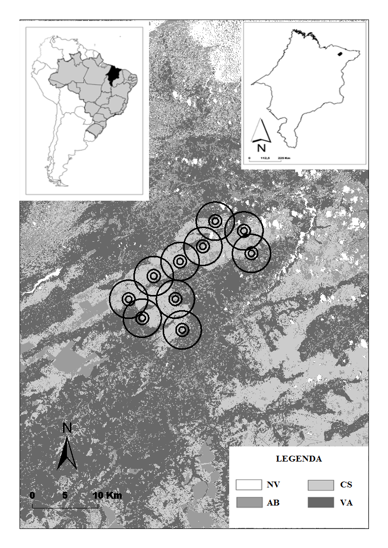 Fig. 1 Localização da área de estudo (retângulo negro) no mapa do estado do Maranhão (canto superior direito), com destaque para a imagem classificada da área de cerrado estudada