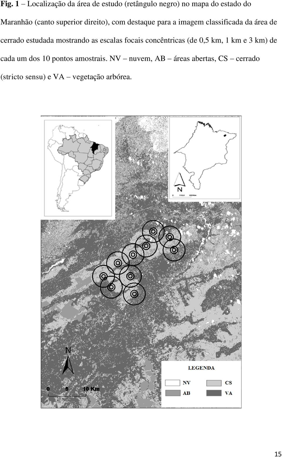 estudada mostrando as escalas focais concêntricas (de 0,5 km, 1 km e 3 km) de cada um dos