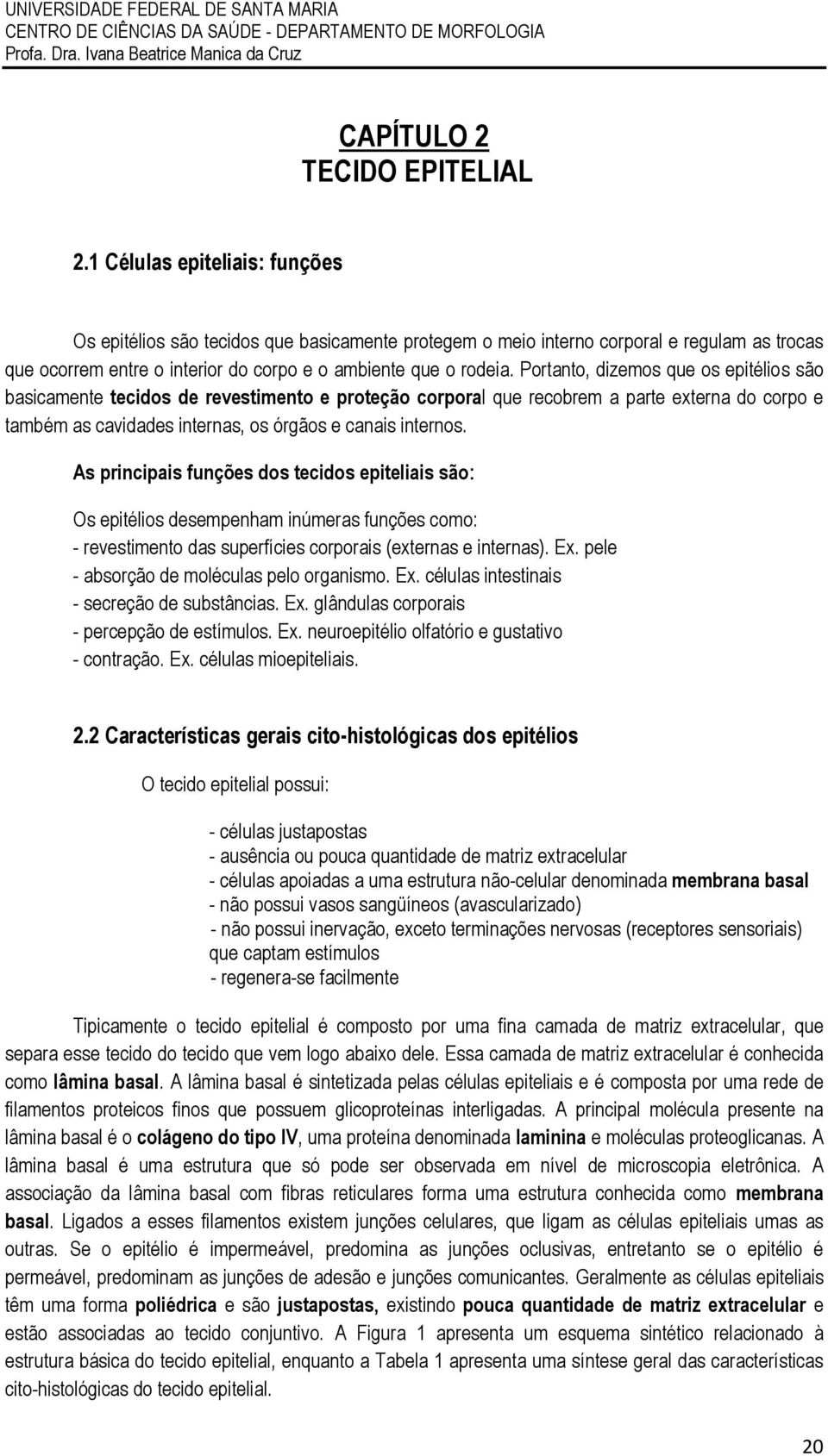 Portanto, dizemos que os epitélios são basicamente tecidos de revestimento e proteção corporal que recobrem a parte externa do corpo e também as cavidades internas, os órgãos e canais internos.