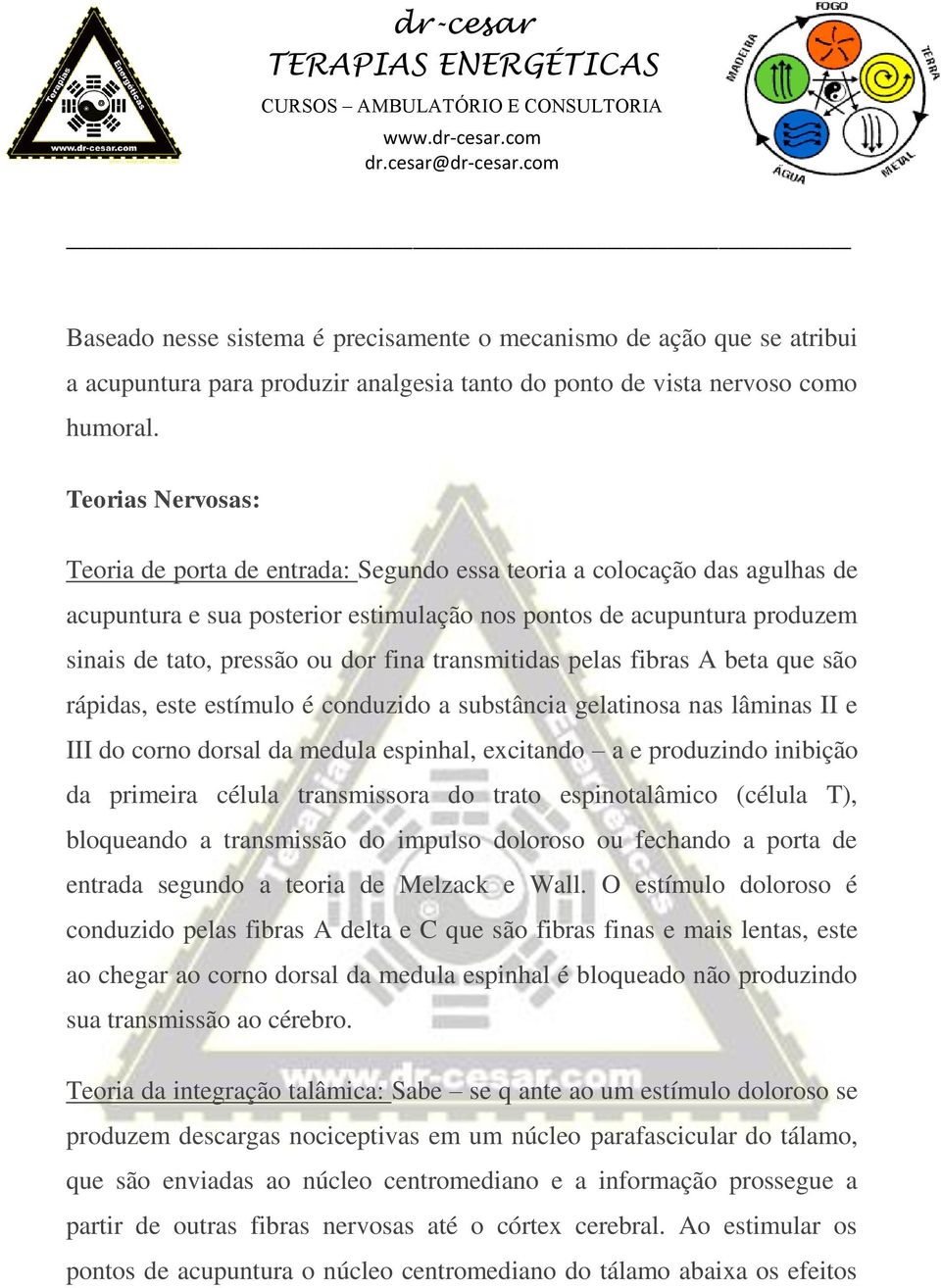 fina transmitidas pelas fibras A beta que são rápidas, este estímulo é conduzido a substância gelatinosa nas lâminas II e III do corno dorsal da medula espinhal, excitando a e produzindo inibição da