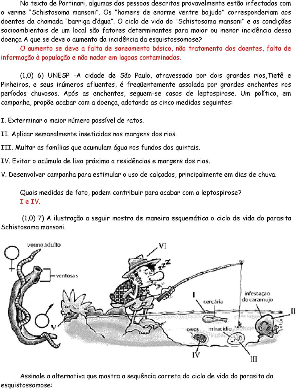 O ciclo de vida do Schistosoma mansoni e as condições socioambientais de um local são fatores determinantes para maior ou menor incidência dessa doença A que se deve o aumento da incidência da