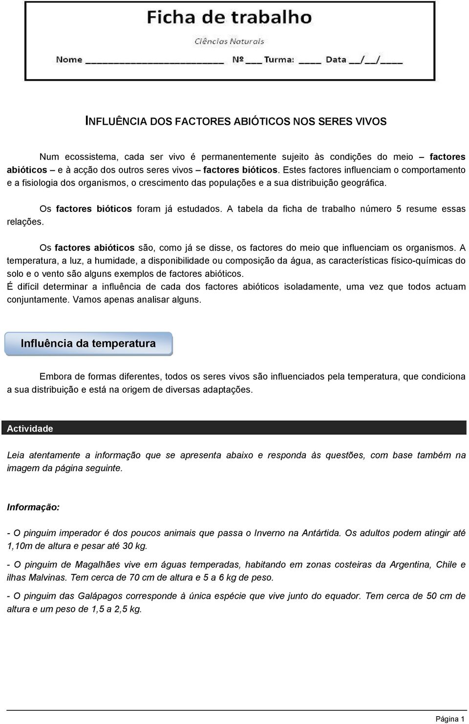 A tabela da ficha de trabalho número 5 resume essas relações. Os factores abióticos são, como já se disse, os factores do meio que influenciam os organismos.