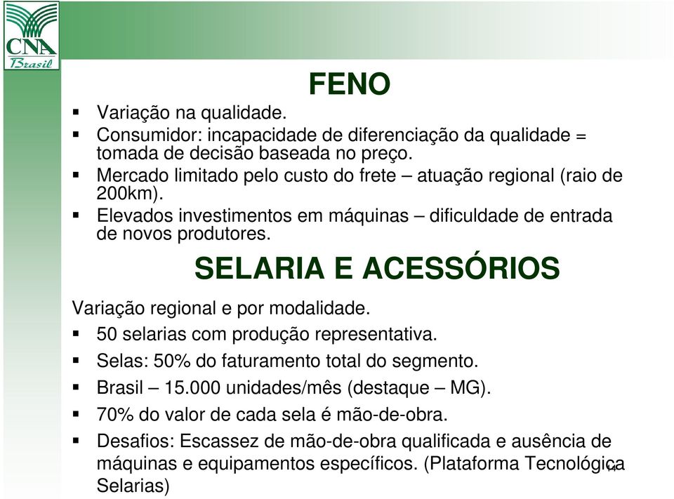 SELARIA E ACESSÓRIOS Variação regional e por modalidade. 50 selarias com produção representativa. Selas: 50% do faturamento total do segmento. Brasil 15.