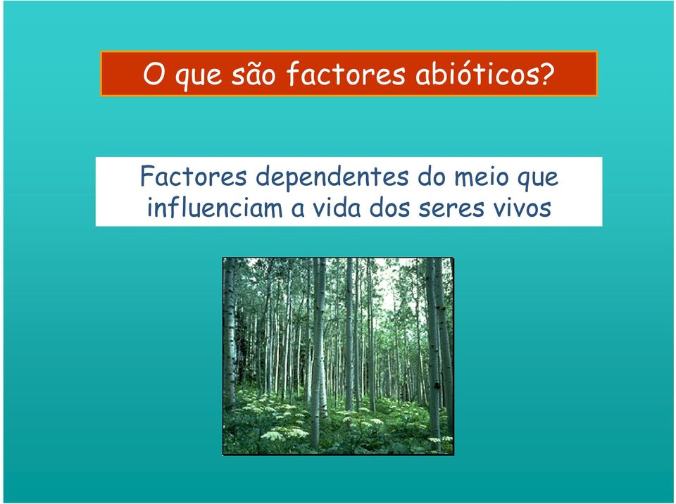 Factores dependentes do