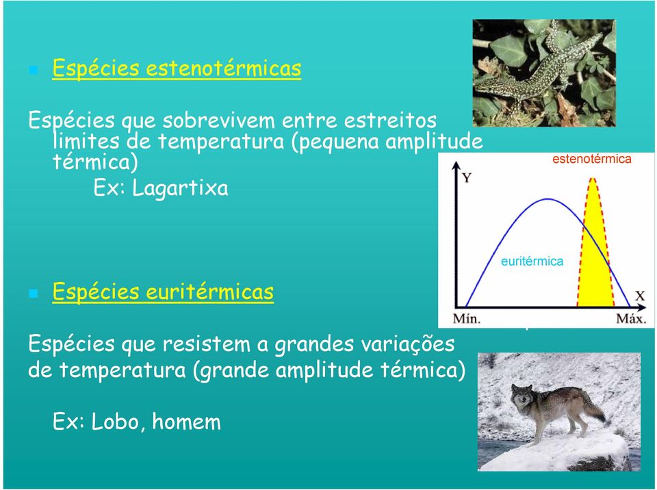 Espécies euritérmicas Espécies que resistem a grandes variações de