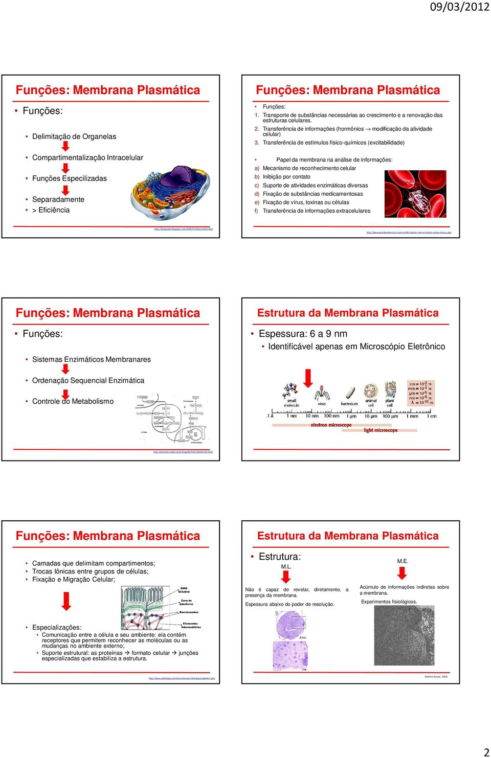 Transferência de estímulos físico-químicos (excitabilidade) Papel da membrana na análise de informações: a) Mecanismo de reconhecimento celular b) Inibição por contato c) Suporte de atividades