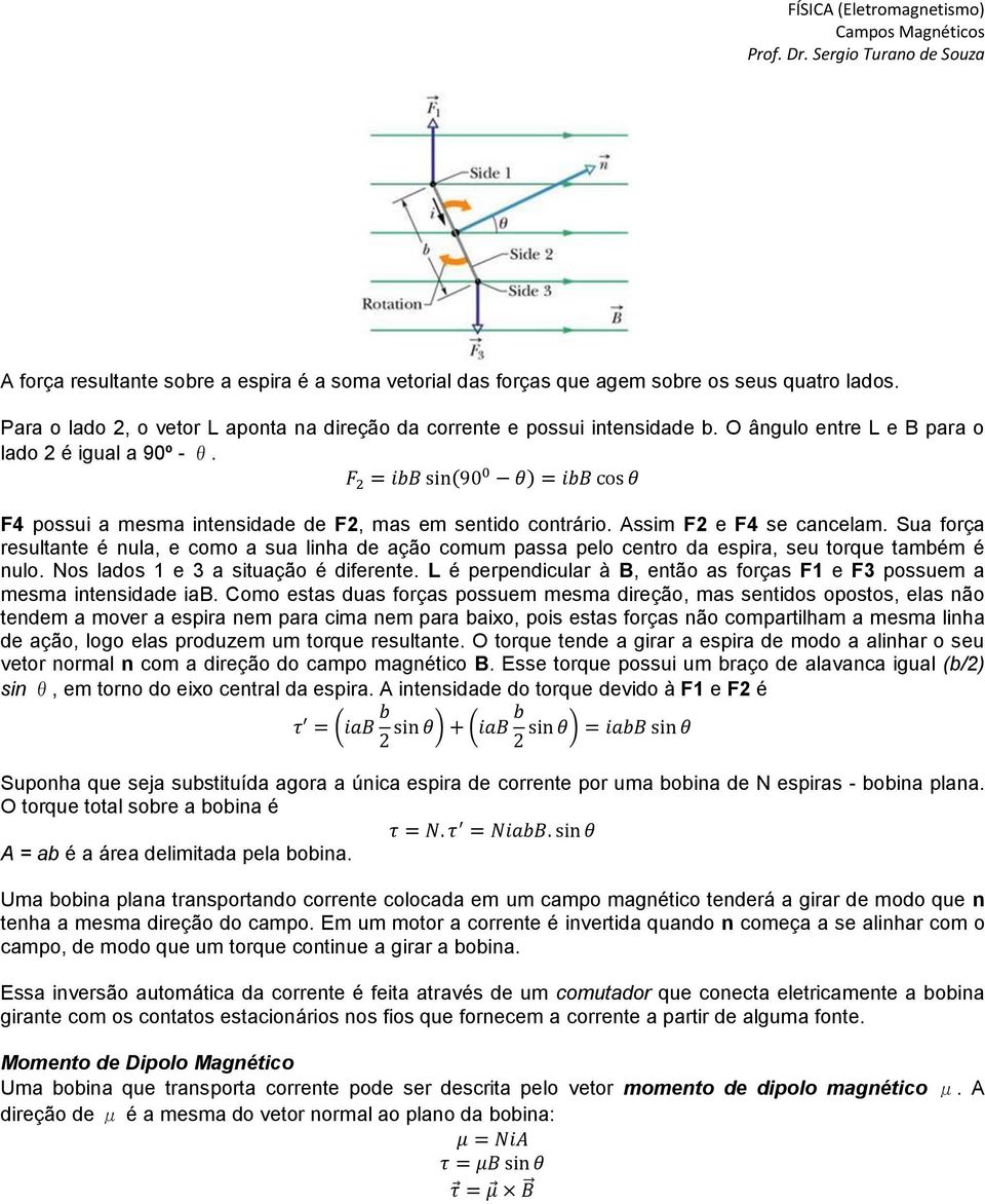 Sua força resultante é nula, e como a sua linha de ação comum passa pelo centro da espira, seu torque também é nulo. Nos lados 1 e 3 a situação é diferente.