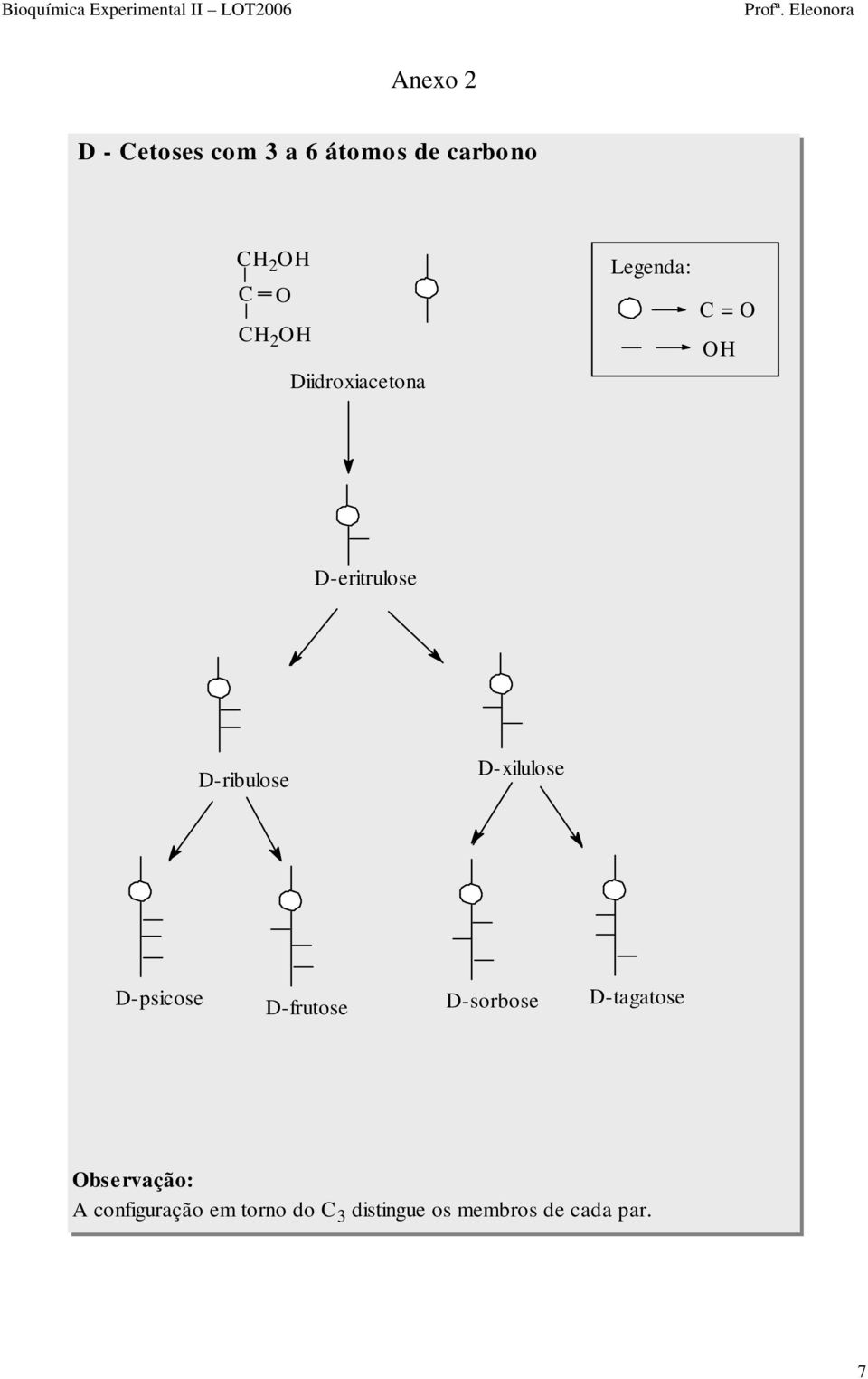 D-ribulose D-xilulose D-psicose D-frutose D-sorbose D-tagatose