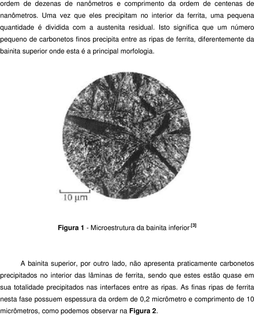 Figura 1 - Microestrutura da bainita inferior.