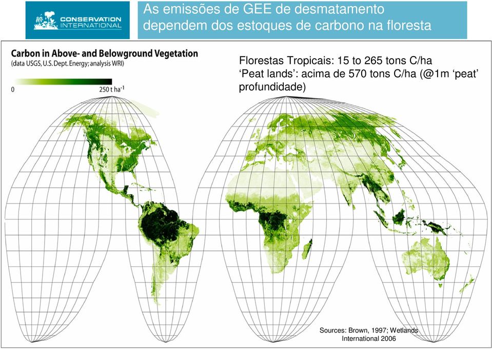 tons C/ha Peat lands : acima de 570 tons C/ha (@1m peat