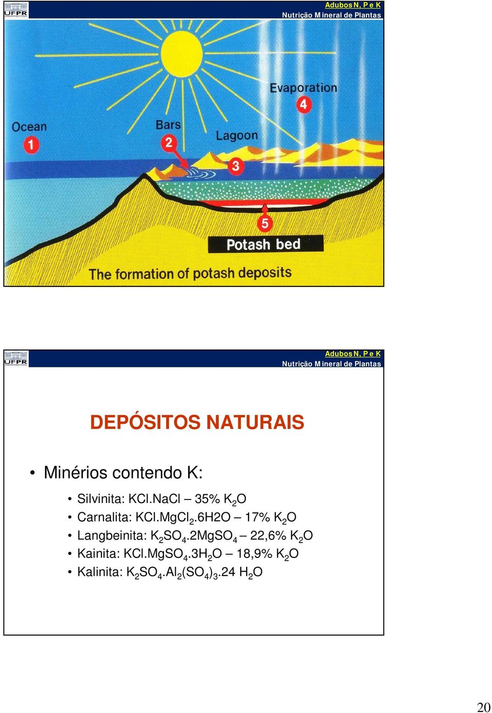 Minérios contendo K: Silvinita: KCl.NaCl 35% K 2 O Carnalita: KCl.MgCl 2.