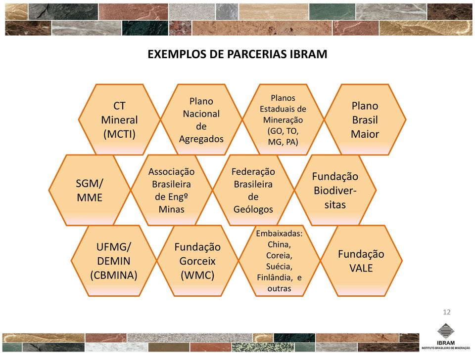 Brasileira de Engº Minas Federação Brasileira de Geólogos Fundação Biodiversitas UFMG/