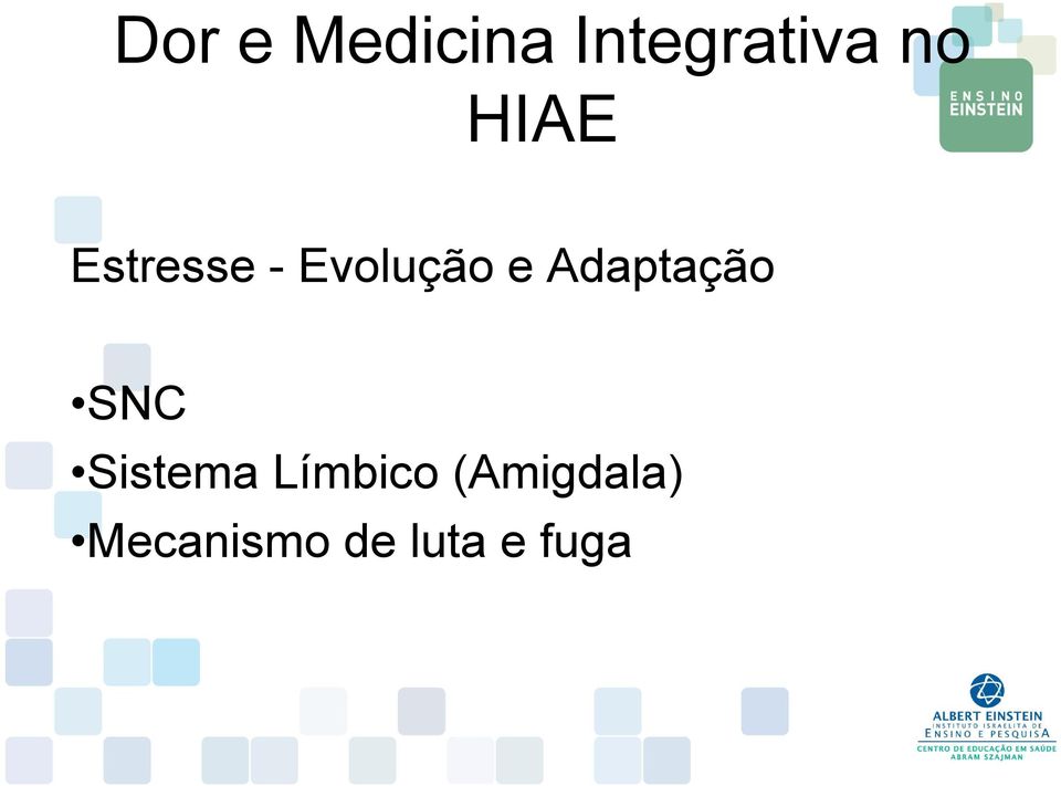 Adaptação SNC Sistema Límbico