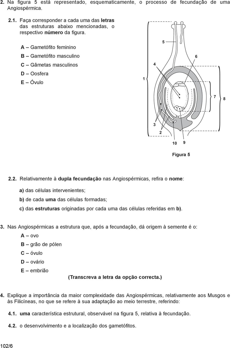 A Gametófito feminino B Gametófito masculino C Gâmetas masculinos D Oosfera E Óvulo 1 4 5 6 7 8 3 2 