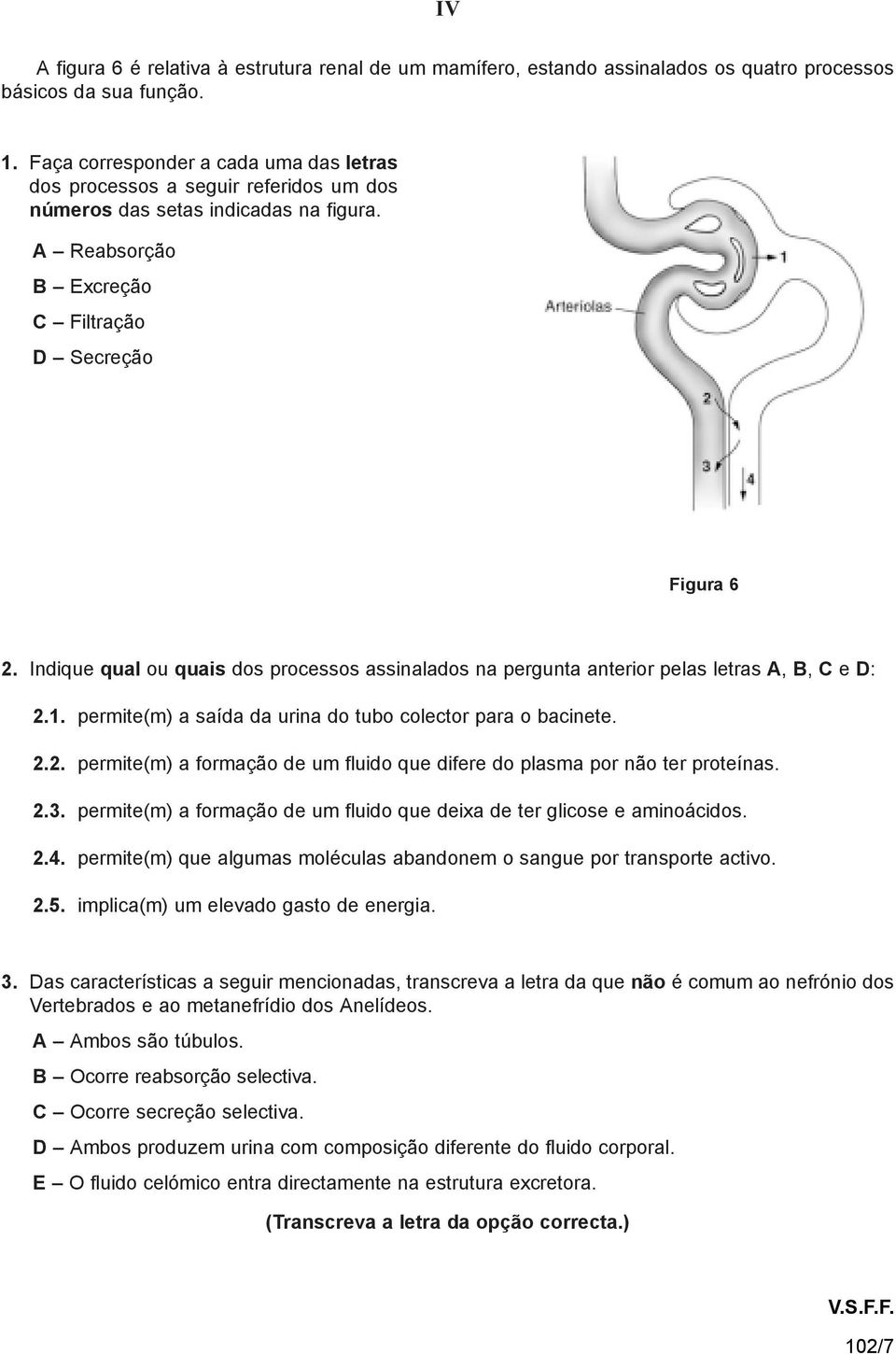 Indique qual ou quais dos processos assinalados na pergunta anterior pelas letras A, B, C e D: 2.1. permite(m) a saída da urina do tubo colector para o bacinete. 2.2. permite(m) a formação de um fluido que difere do plasma por não ter proteínas.