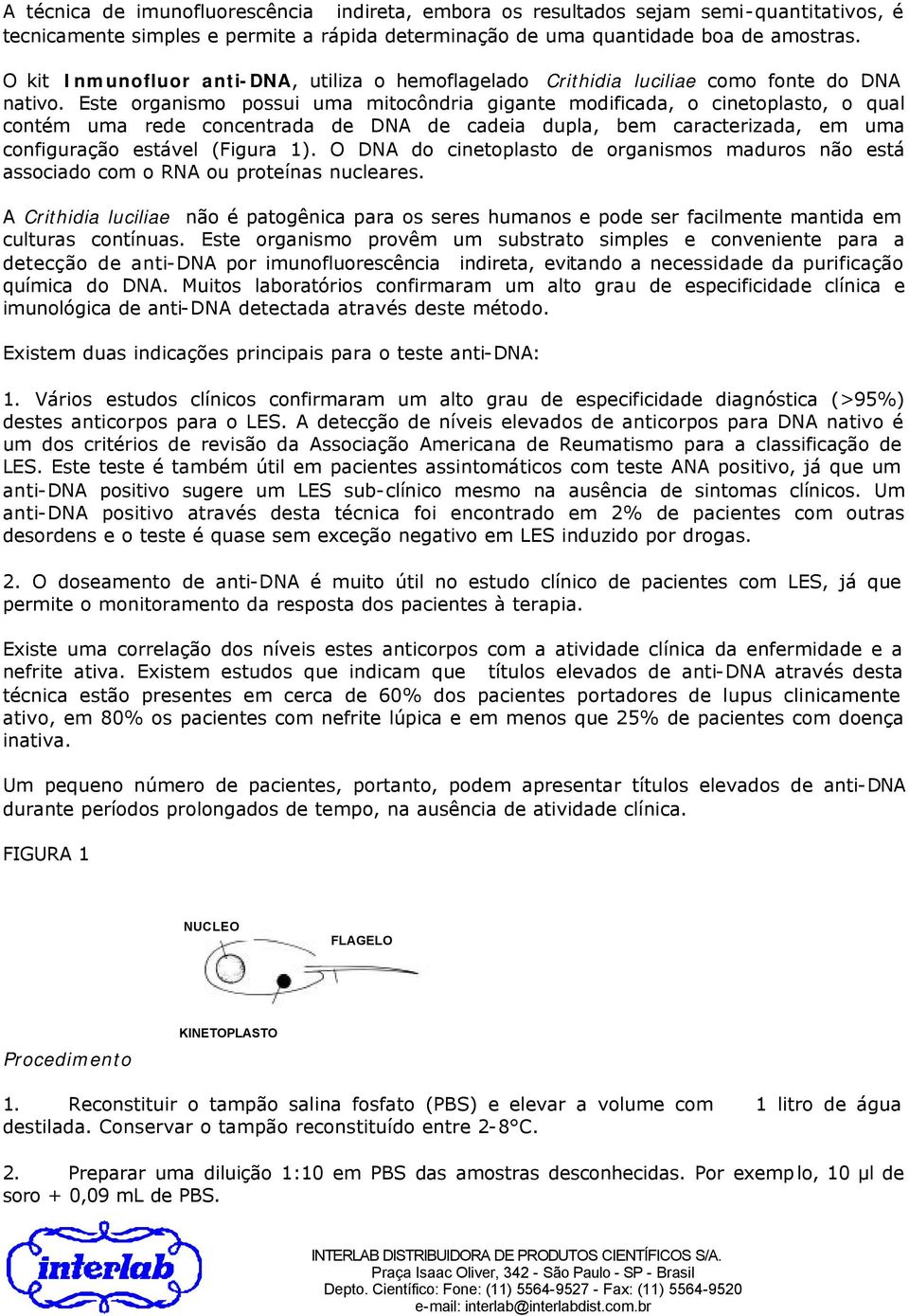 Este organismo possui uma mitocôndria gigante modificada, o cinetoplasto, o qual contém uma rede concentrada de DNA de cadeia dupla, bem caracterizada, em uma configuração estável (Figura 1).