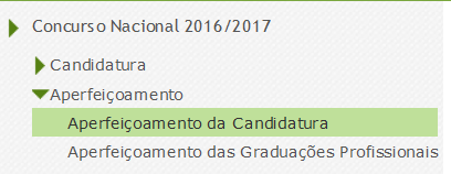 2.3 Módulo de Aperfeiçoamento 2.3.1 Menus da aplicação Após entrada no ecrã inicial, o utilizador deverá selecionar o separador Situação Profissional.