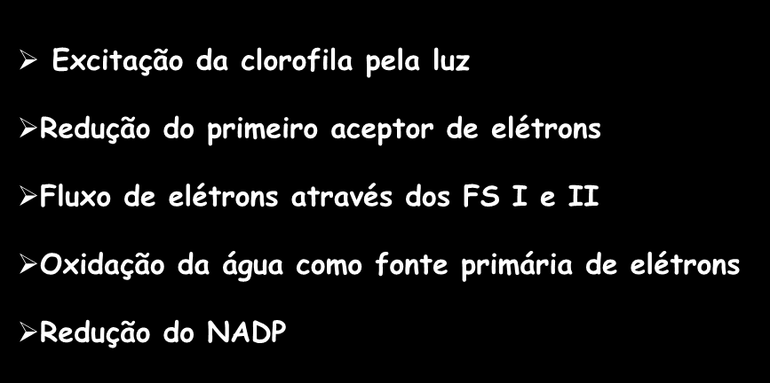 MECANISMOS DE TRANSPORTE DE ELÉTRONS As Etapas Excitação da clorofila pela luz Redução do primeiro aceptor de