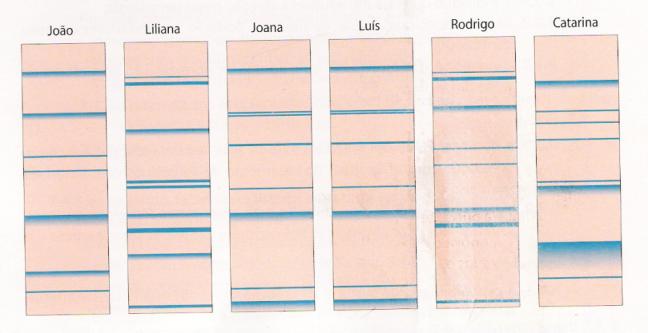 Nesta técnica, o DNA é fragmentado por enzimas de restrição e colocado num gel sujeito a um campo eléctrico. O DNA progride no gel, deixando bandas que correspondem a porções de diferentes tamanhos.