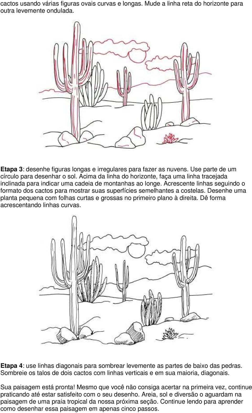 Acrescente linhas seguindo o formato dos cactos para mostrar suas superfícies semelhantes a costelas. Desenhe uma planta pequena com folhas curtas e grossas no primeiro plano à direita.