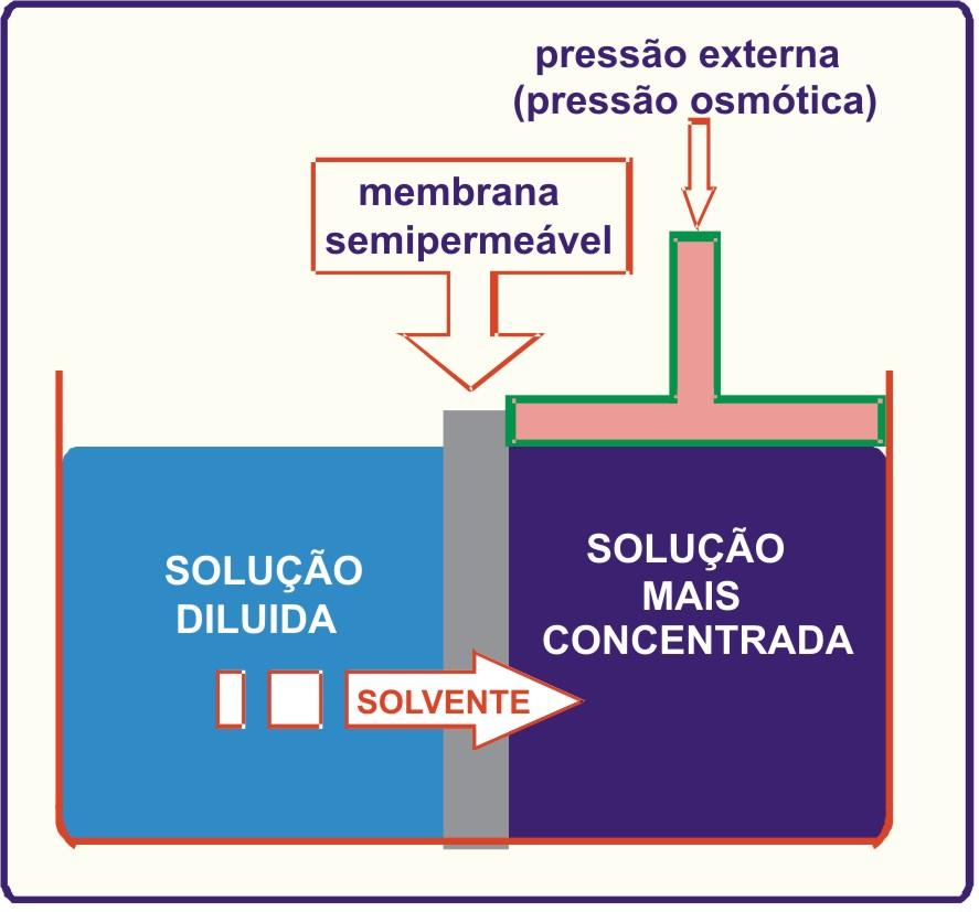 concentrada para evitar a sua