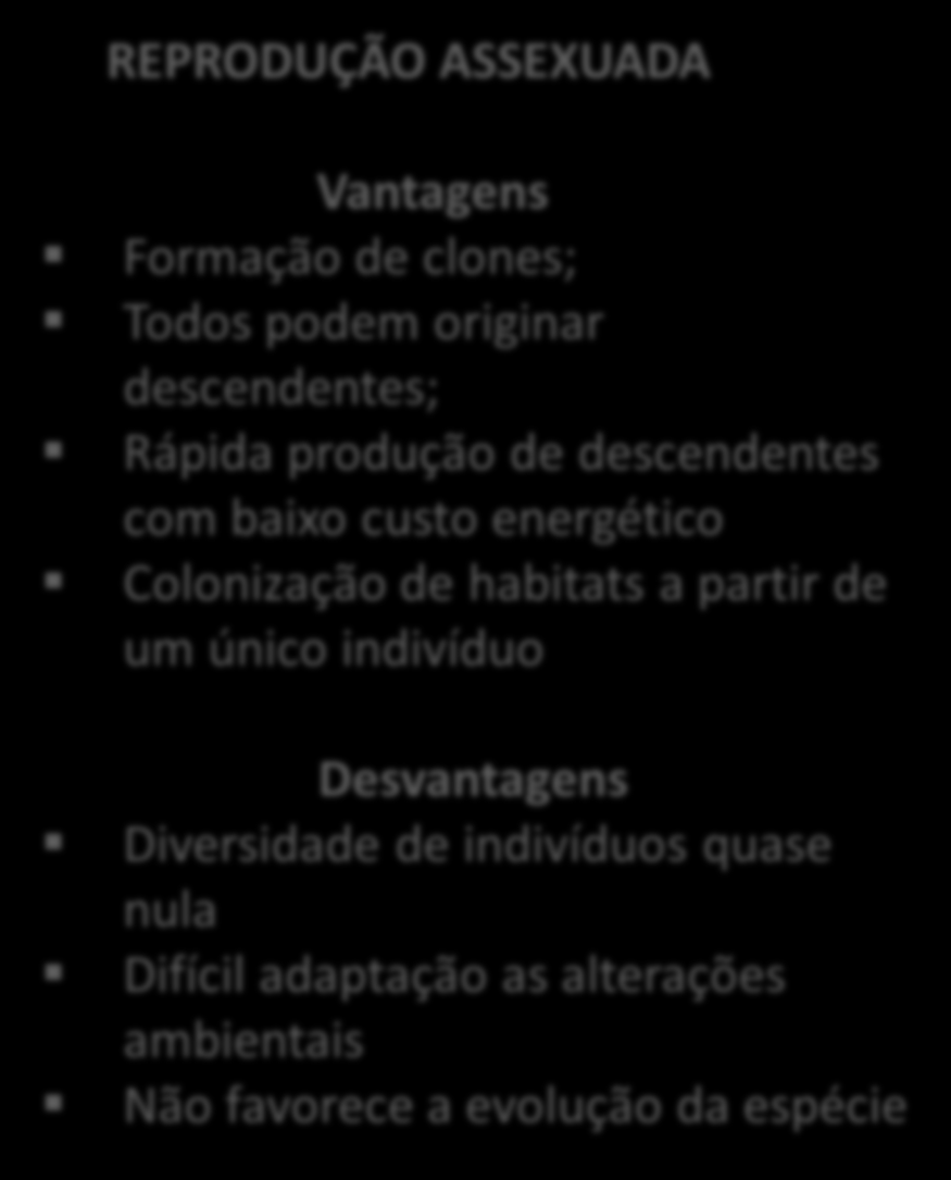 REPRODUÇÃO SEXUADA Vantagens Promove o aumento da variabilidade genética Aumenta a chance de adaptação da espécie caso o ambiente sofra alterações Permite a evolução das espécies para novas formas o