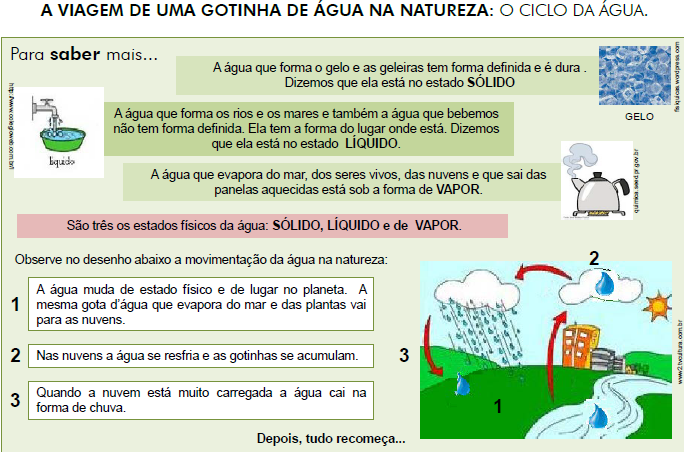 15 - Se dividirmos o corpo destes seres vivos em 100 partes iguais, quantas partes seriam de água? Você sabe?