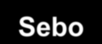 Sebo de Boi Produtos Principais do abate bovino: Carne Sangue (13 kg/boi) Pele Sebo de boi (15 kg/boi) 1 co-produto 1 Sebo de boi pode