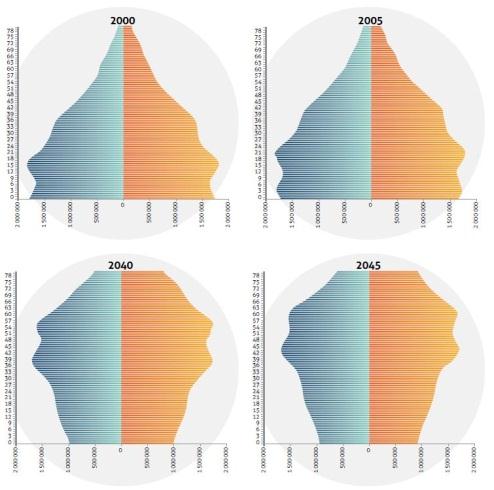 MUDANÇAS SOCIAIS IMPORTANTES NOS ÚLTIMOS 30 ANOS TRANSIÇÃO DEMOGRÁFICA NUTRICIONAL 50,8