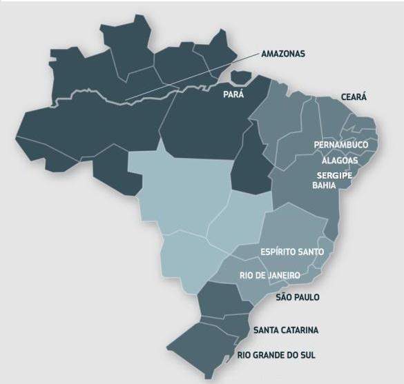 Situação atual da indústria O SINAVAL O SINAVAL é a instituição que representa os estaleiros brasileiros instalados em diversas regiões do País. Tem hoje 51 associados.