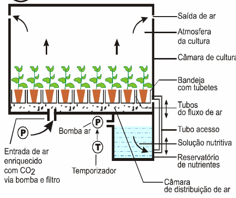 Compartimento inferior: estocagem de meio de cultura - Conjunto