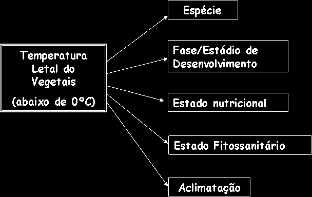 Efeito da geada nos vegetais Solução intra e extracelular tem determinada concentração de substâncias orgânicas e inorgânicas dissolvidas, pelo que o seus pontos de fusão são inferiores a 0ºC