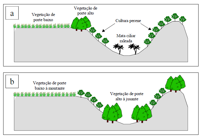 Medidas Topoclimáticas: locar corretamente as culturas no campo, considerando sua configuração e exposição.