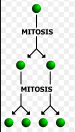 Assim, a 10 = a 1 + 9r a 10 = 1 + 9 a 10 = 19 10 (1 + 19) s 10 = S 10 = 100 A soma dos números impares corresponde a um n qualquer a n = n, com n Є IN*.