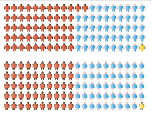 População Negra no Brasil 50, 8% Retrato das desigualdades de gênero e raça