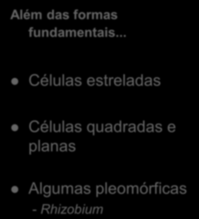 Além das formas fundamentais.