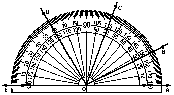 O transferidor é um objeto capaz de medir o valor do ângulo. Existem dois tipos: meia volta (180 0 ) e volta inteira (360 0 ). 2.