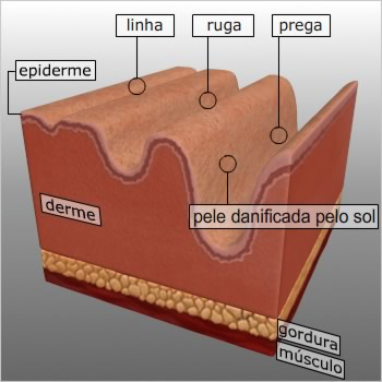 Microdermoabrasão Introdução A microdermoabrasão é um dos procedimentos cosméticos mais populares e não invasivos realizados atualmente.