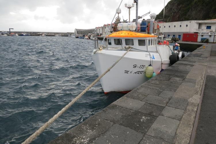 A pesca comercial Atividade recorre maioritariamente a métodos