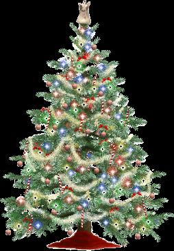 A Árvore de Natal, começou aparecer, há muitos anos, numa peça teatral tirada da Bíblia que se fazia no Natal. Nessa cena estava sempre um pinheiro enfeitado com maçãs e rosas de papel.